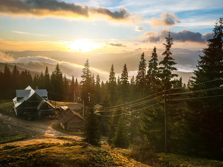 پارک جنگلی جوارم