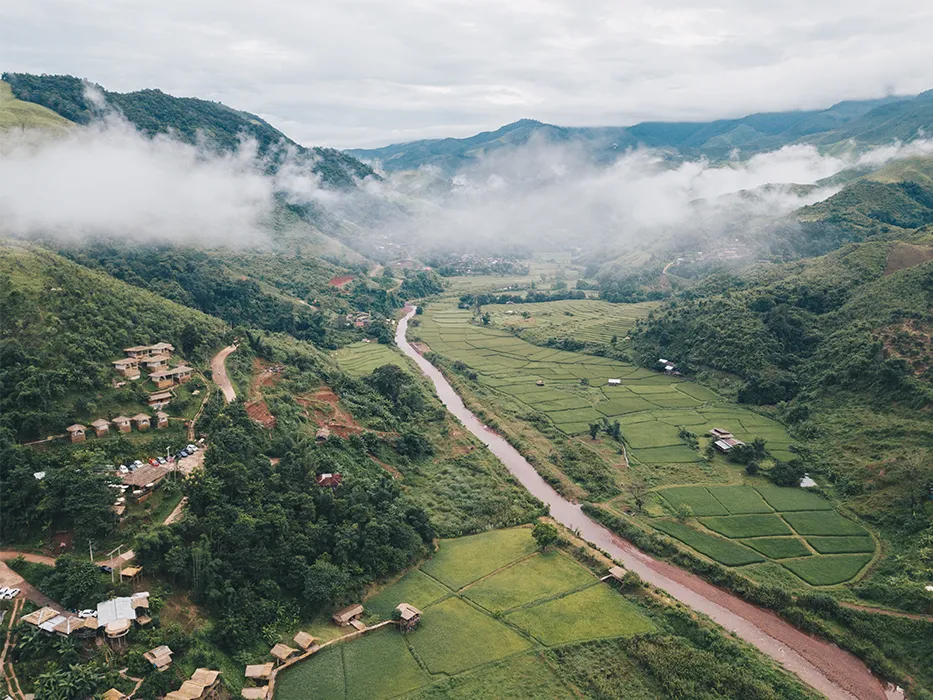 روستای درخت جوز