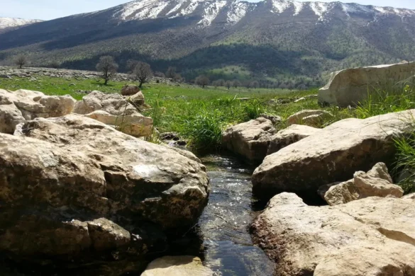 کوه مانشت