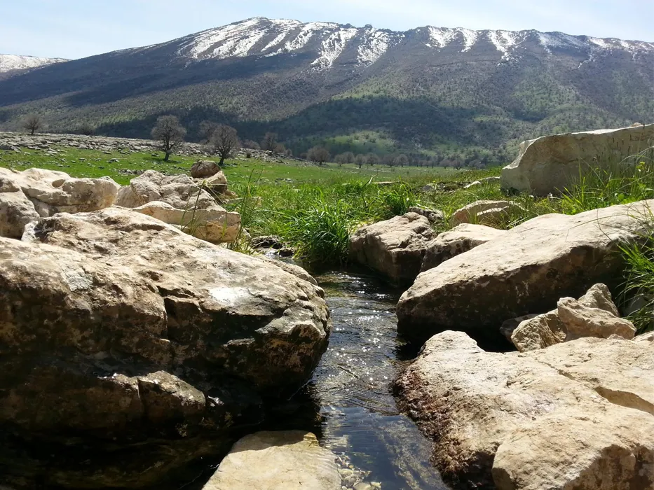 کوه مانشت