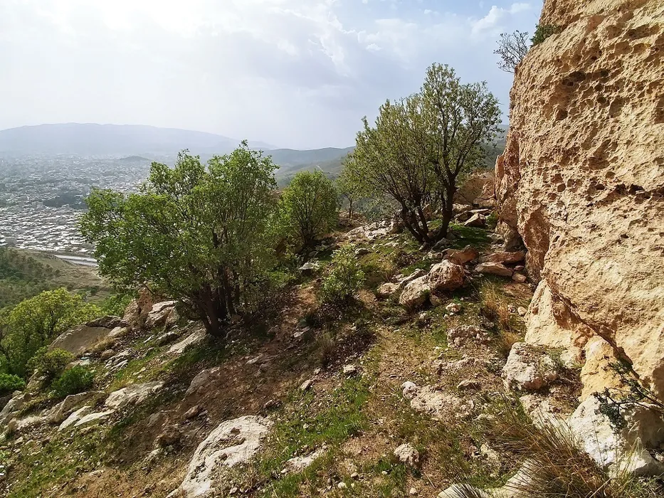 کوه مانشت