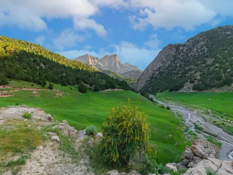 ییلاق عرب چاه