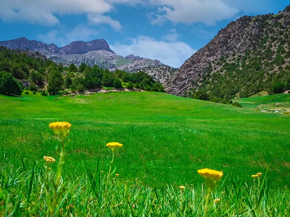 ییلاق عرب چاه