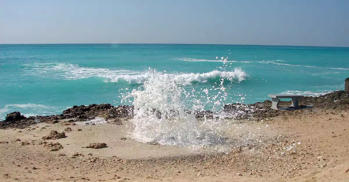جزیره کیش