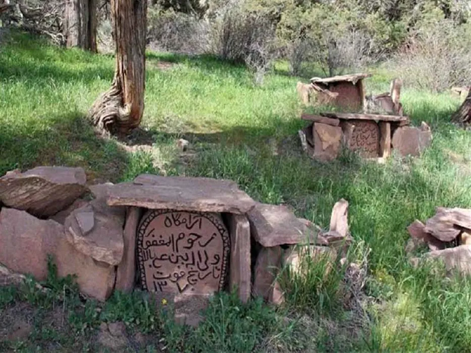 گورستان چنار