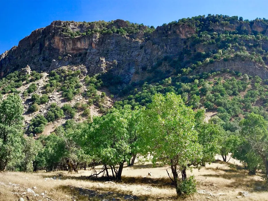 آبشار گچان