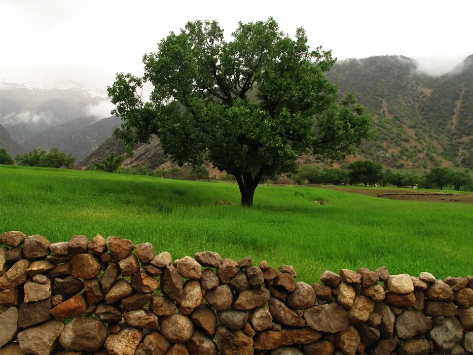 منطقه حفاظت شده کرخه