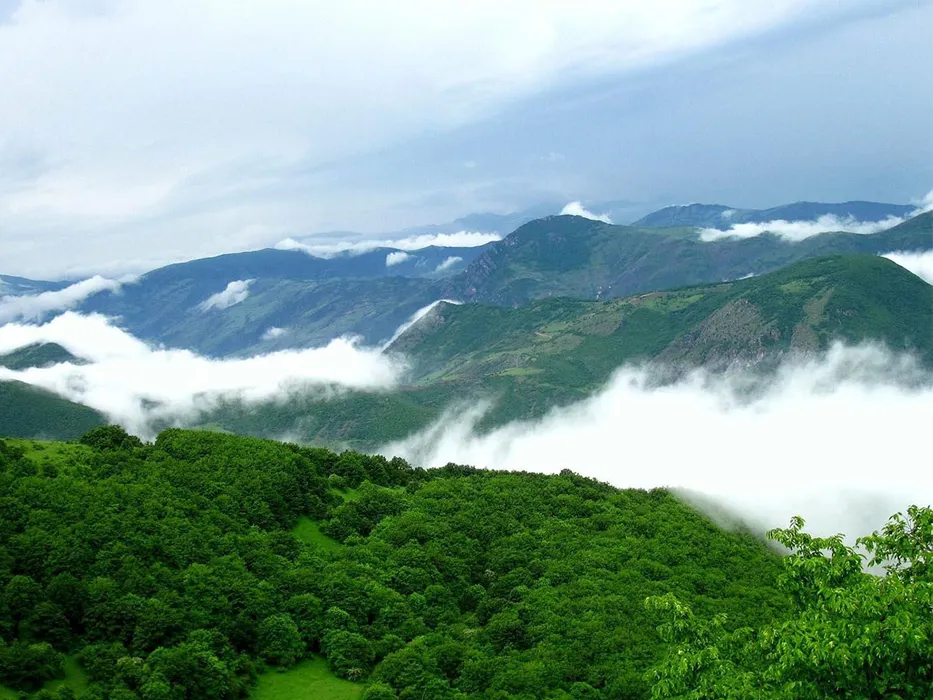 پارک جنگلی مکیدی