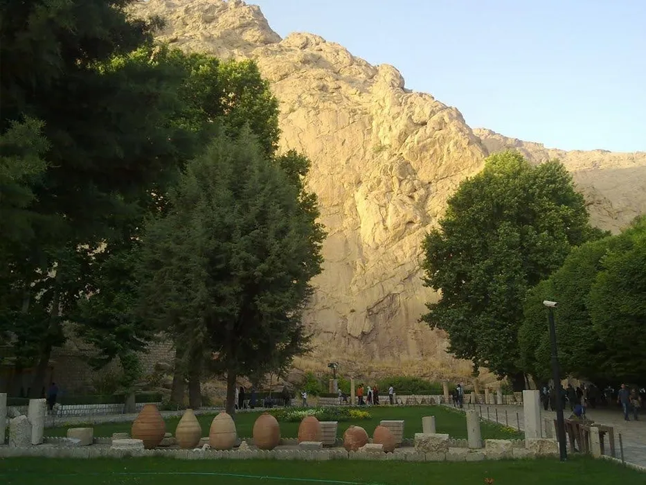 درخت رحمت