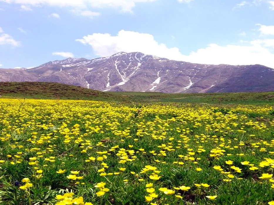 چهل چشمه