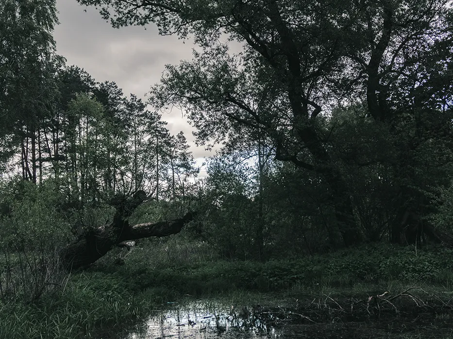 مرداب مانچاک