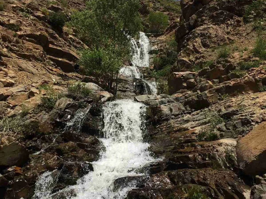 آبشار برگ جهان