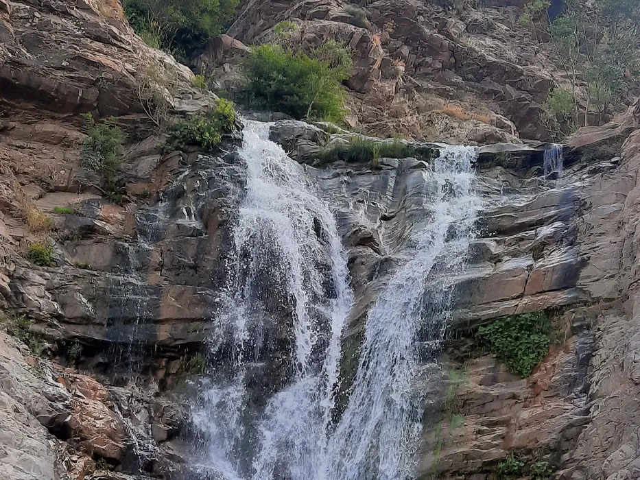 آبشار برگ جهان