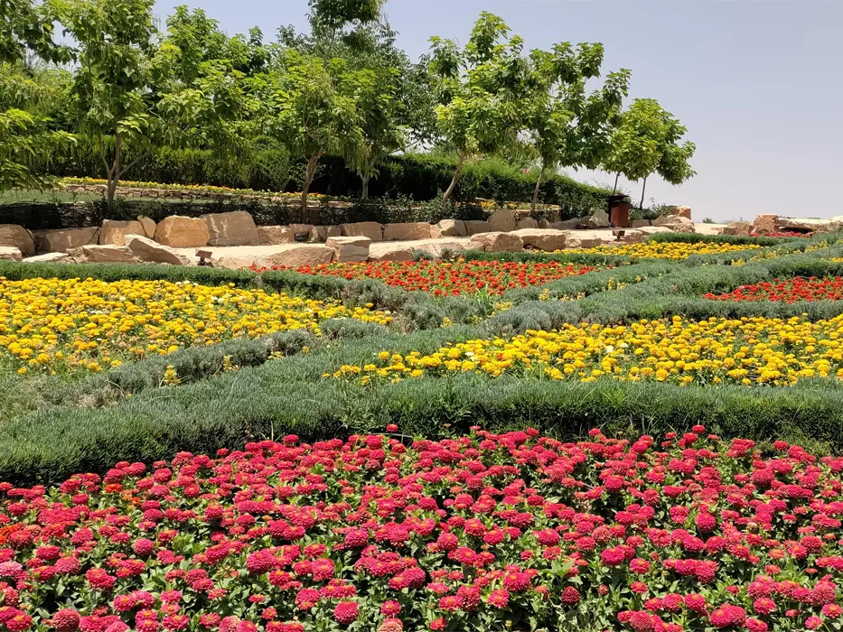 باغ گل های شیراز
