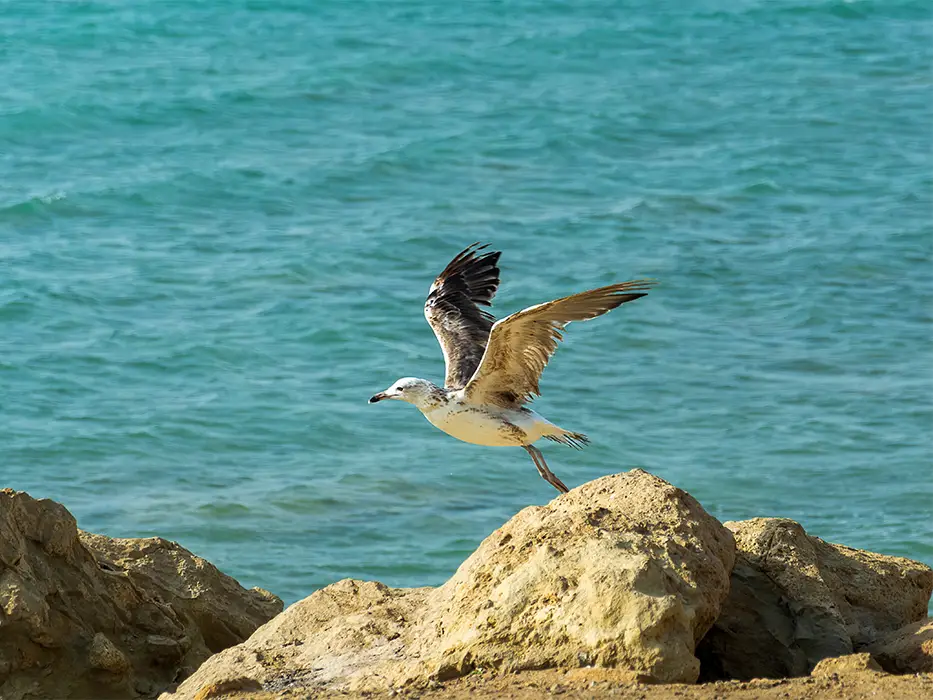 راهنمای سفر از اصفهان به چابهار