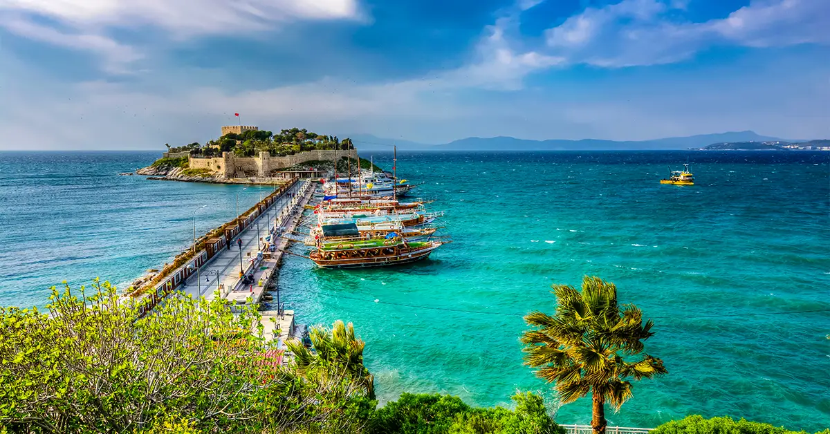 زیره کبوتر کوش آداسی