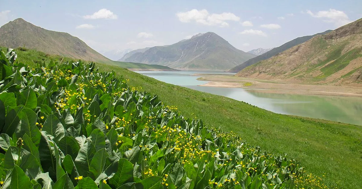 دریاچه سد لار