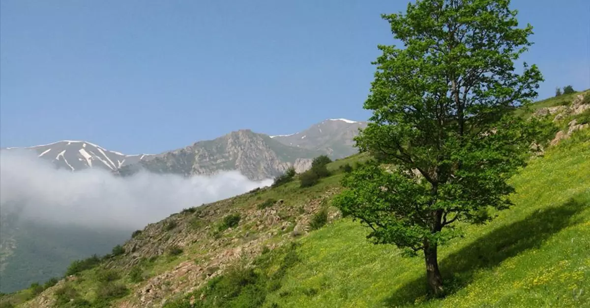 طبیعت بکر و آبشار زیبای هریجان در جاده چالوس