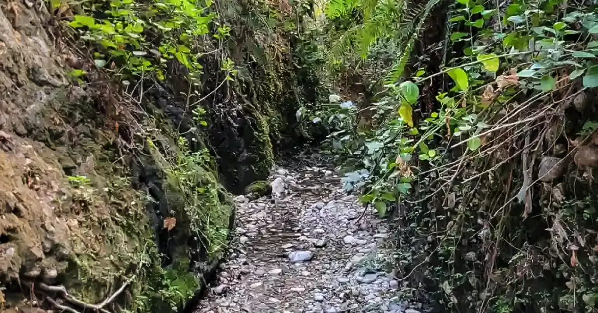 دره انار خوزستان