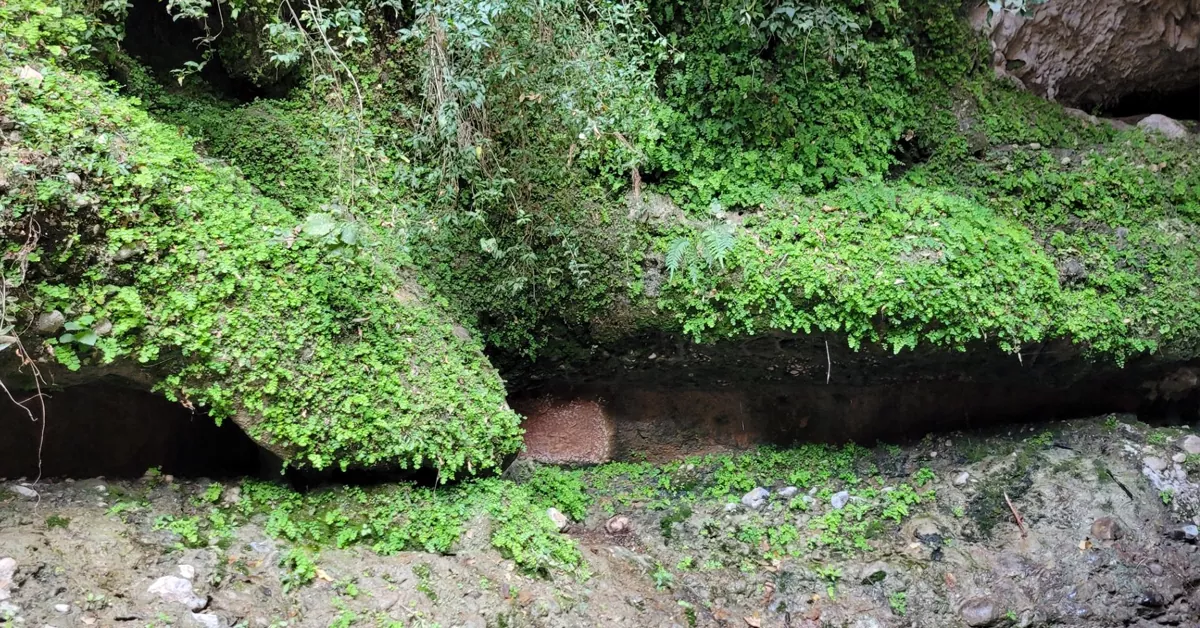 دره انار خوزستان