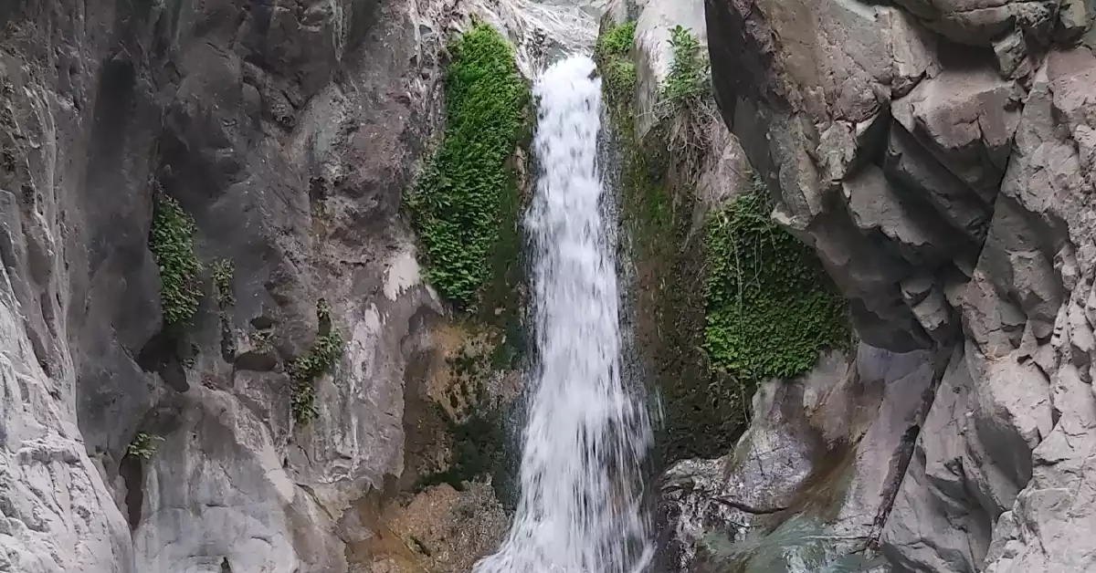 طبیعت سرسبز اطراف آبشار دلفارد در منطقه کوهستانی