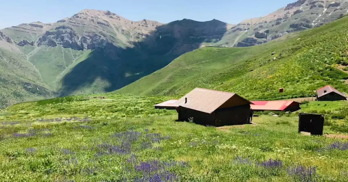 چمنزارها و جنگل‌های اطراف روستای وارنگه‌رود در تابستان