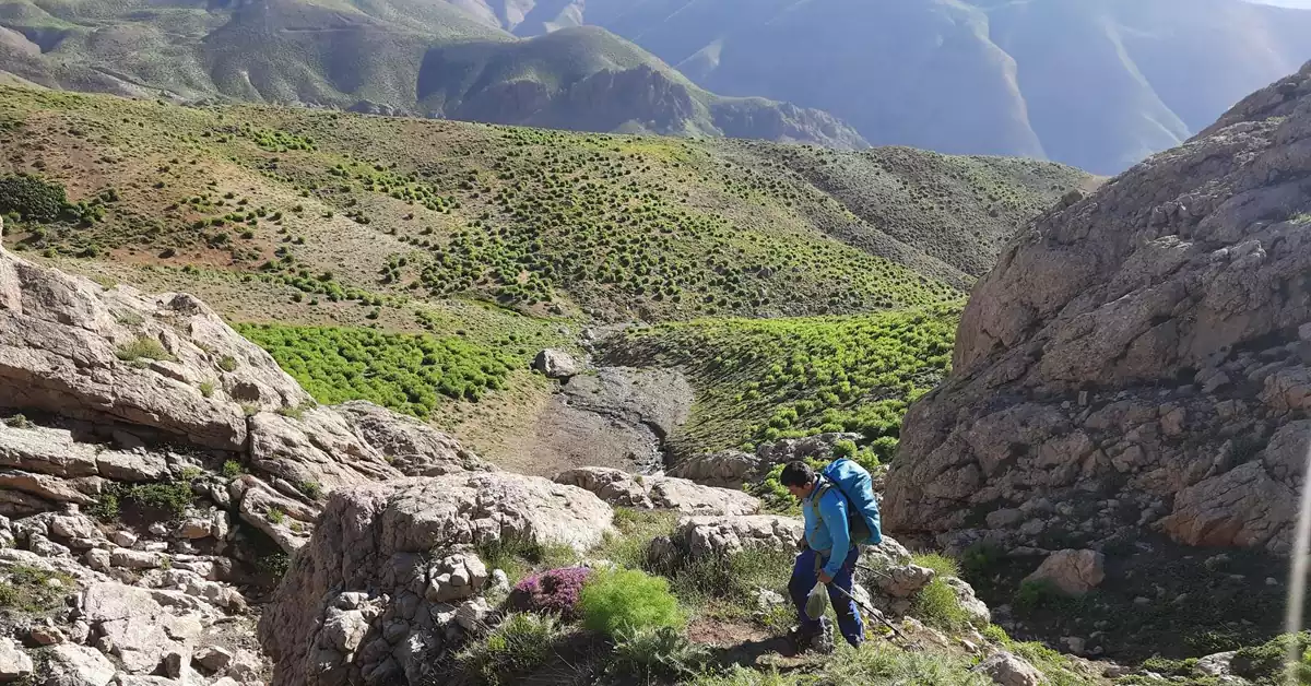 عکس گردشگران در طبیعت بکر آزادبر
