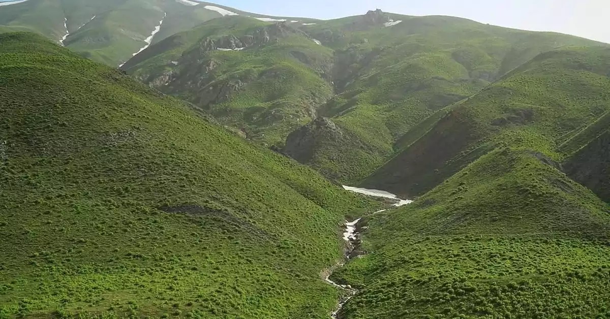 عکس جاده جنگلی منتهی به روستای آزادبر