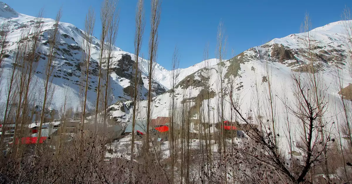 حیات وحش و پرندگان منطقه آزادبر