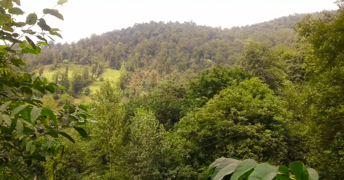 عکس طبیعت بکر و مزارع اطراف روستای دمیر اوغلیکش