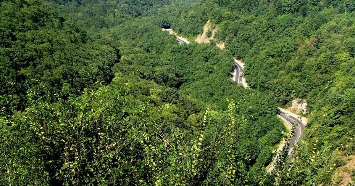 چشمانداز پاییزی پارک جنگلی بیبی یانلو