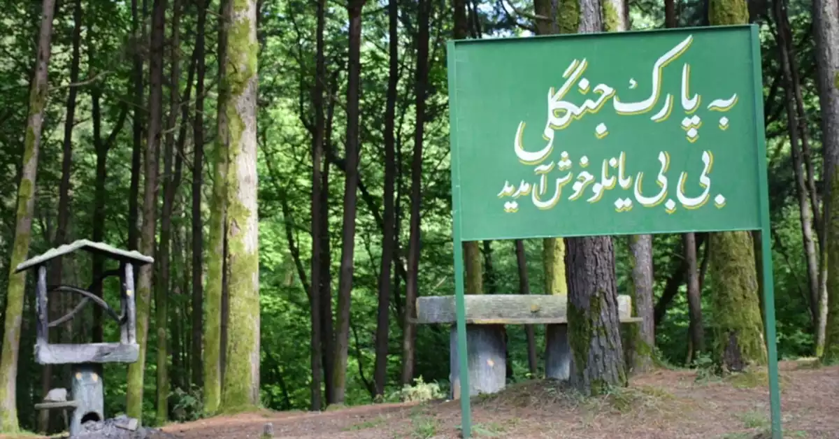 پارکینگ و محوطه ورودی پارک جنگلی بیبی یانلو آستارا