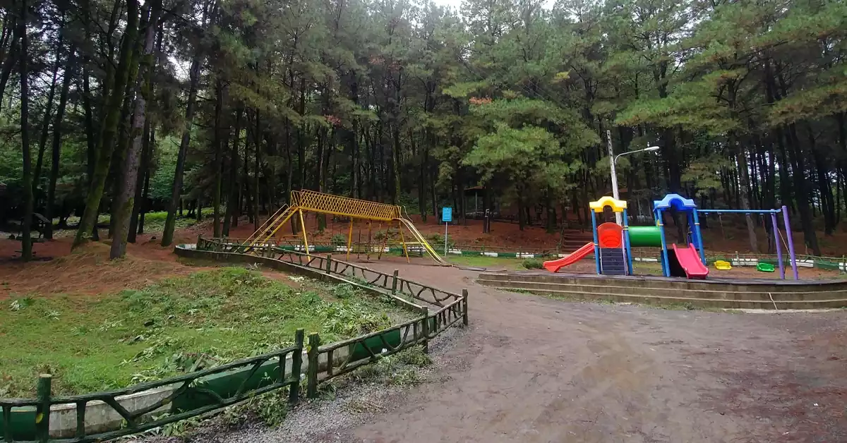 فضای کمپینگ و محل برپایی چادر در پارک بیبی یانلو