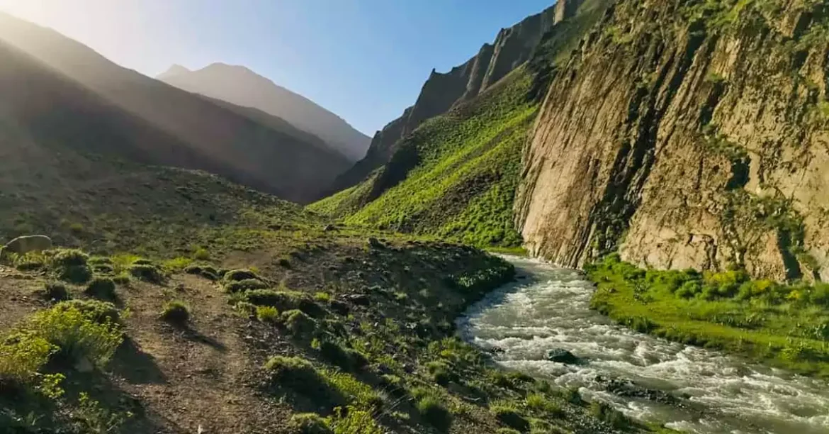 پوشش گیاهی خاص در طبیعت وارنگه‌رود