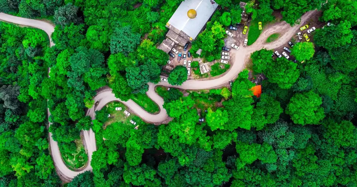 مسیر پیاده‌روی جنگل رزکه آمل میان درختان بلند