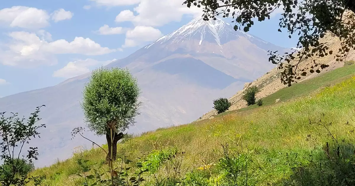 چمنزارهای سرسبز دشت آزو در مازندران