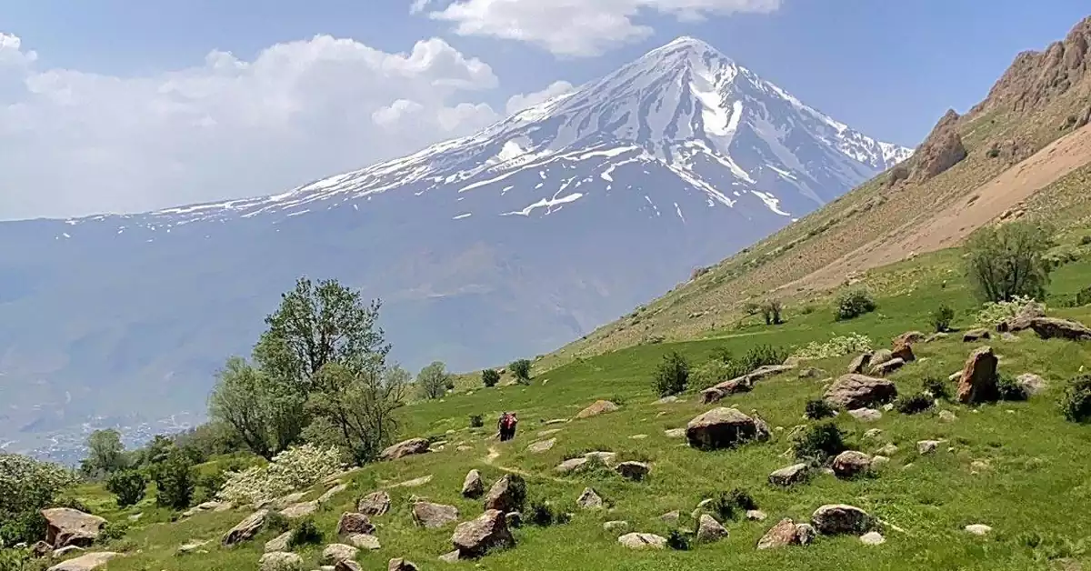 نمای تابستانی دشت آزو با گل‌های وحشی