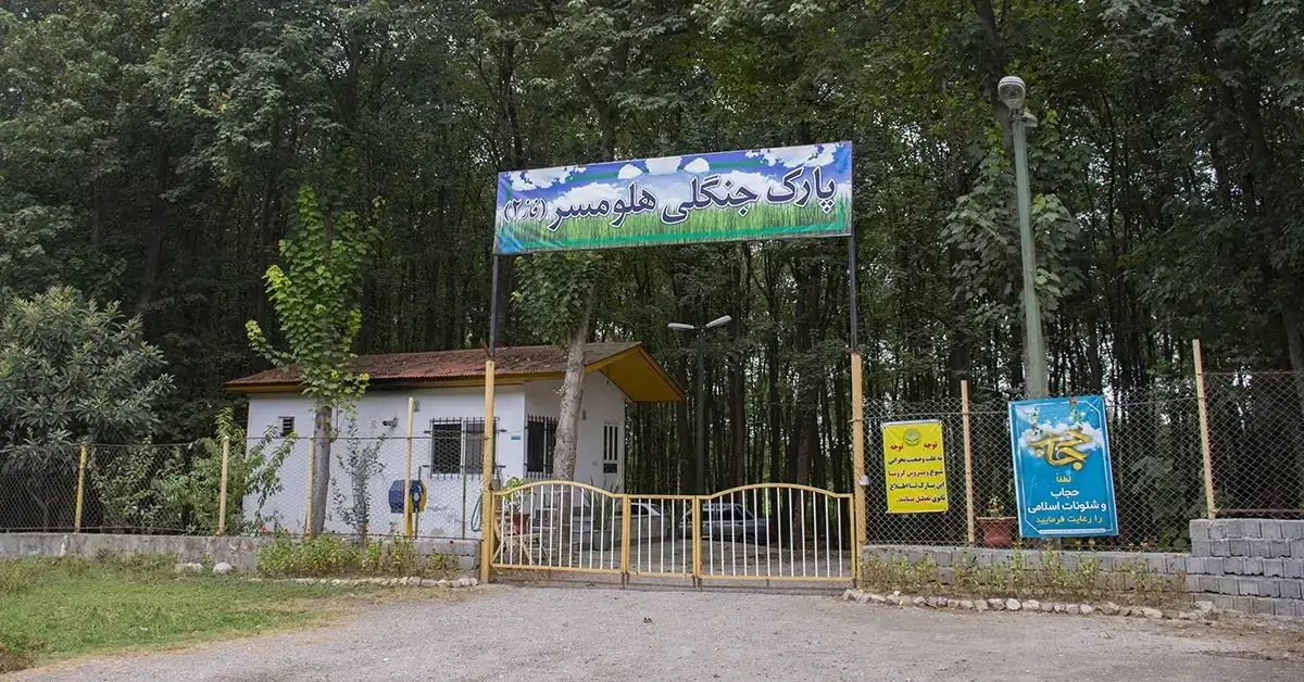 مسیر خاکی منتهی به جنگل هلومسر در دل طبیعت شمال