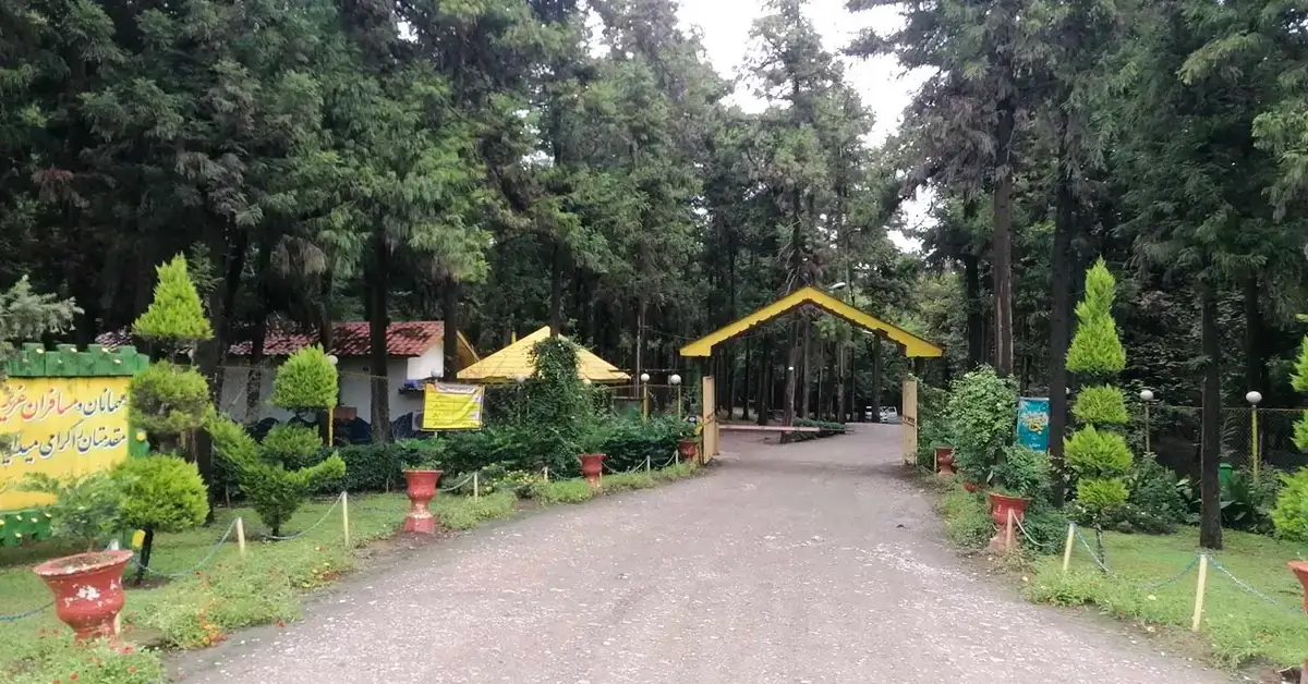 مسیر پیادهروی در میان جنگل هلومسر مازندران