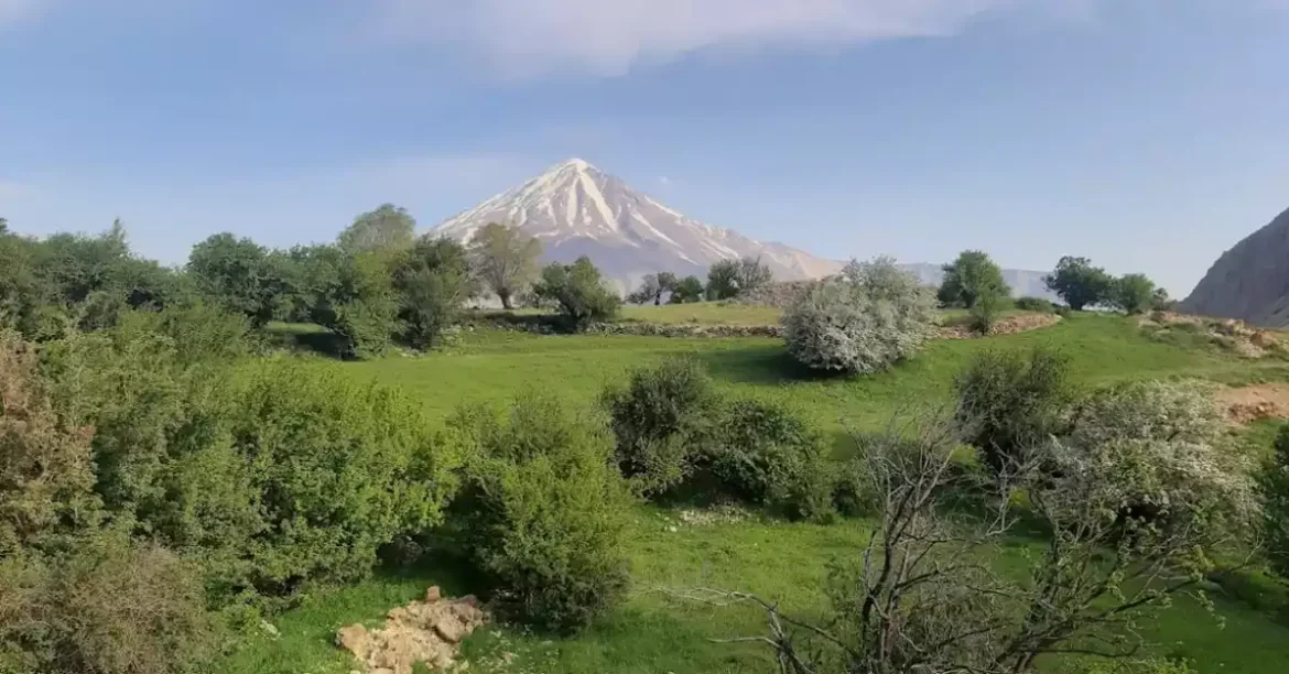 منظره زمستانی دشت آزو پوشیده از برف