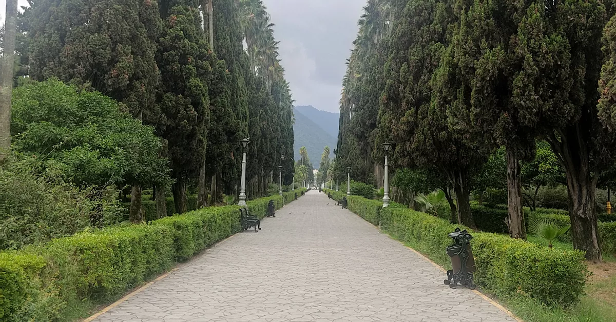 جاذبه های رامسر - بلوار معلم رامسر