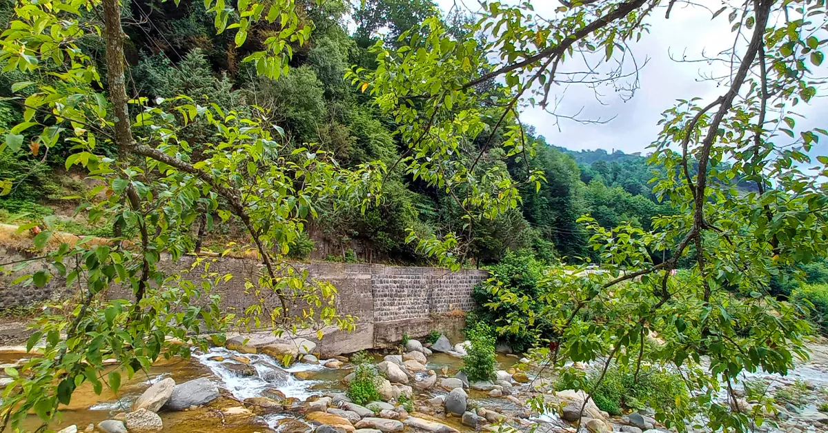 دیدنی های رامسر - بوستان جنگلی صفارود