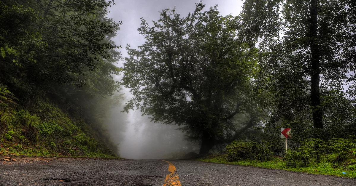 دیدنی های رامسر - 