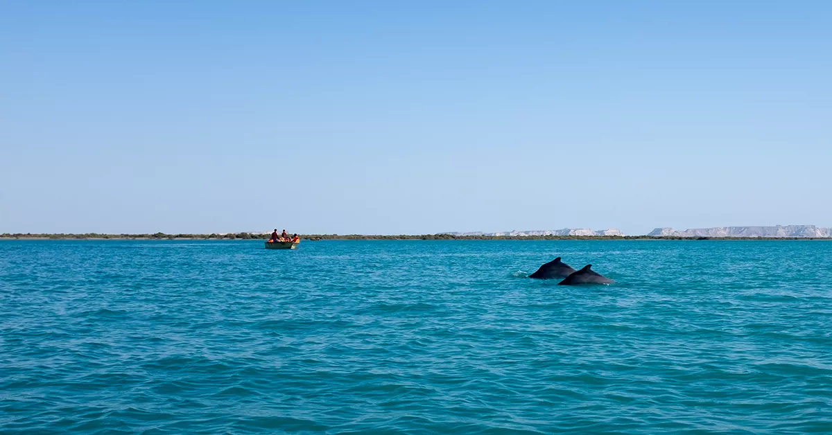 چمدان و آمادهسازی مسافران برای سفر قشم به کیش