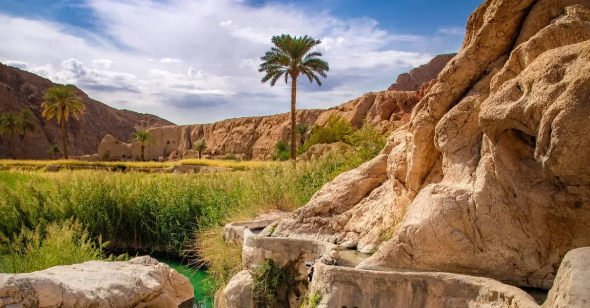 دیدنی های طبس