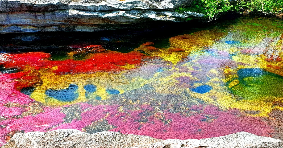 رودخانه رنگی کلمبیا - عجیب ترین مکان های دنیا