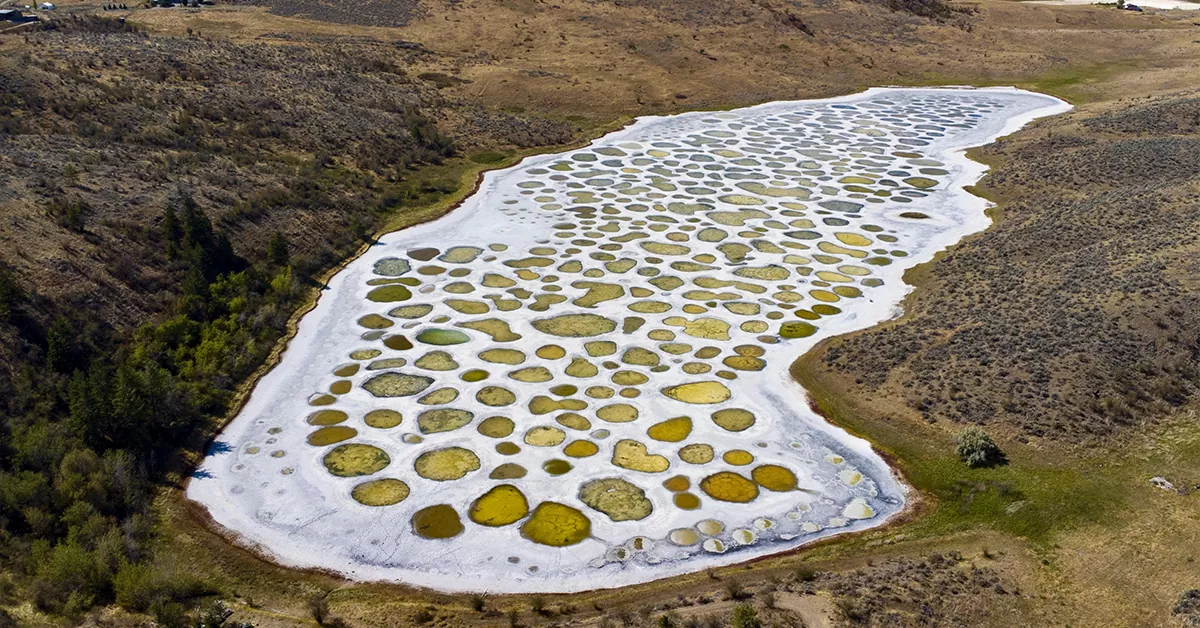 دریاچه خالدار (Spotted Lake) - عجیب ترین مکان های دنیا