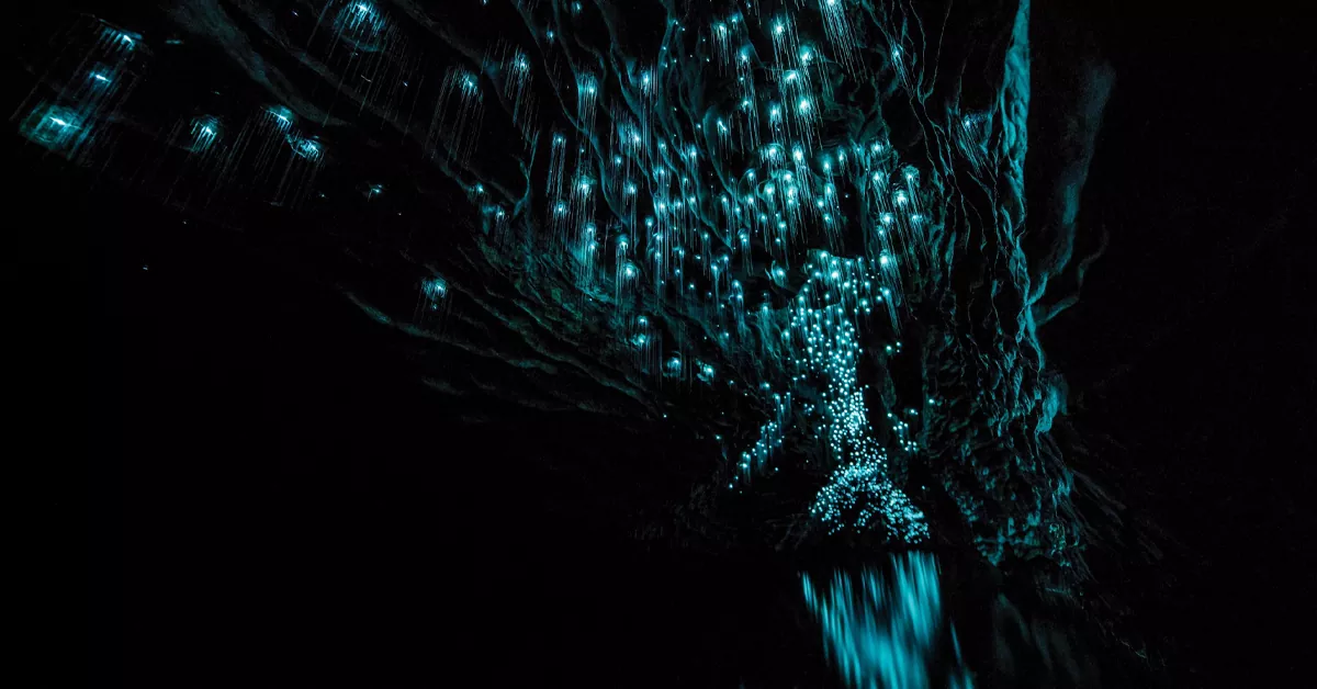 غار وایتومو (Waitomo)